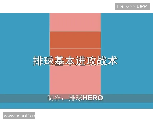 杭州排球队进攻策略全解析揭秘排球深度与战术运用